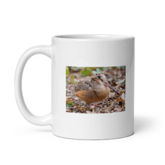 American Woodcock (bird) mug